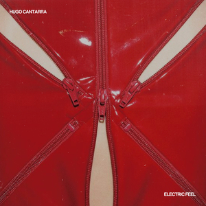 Electric Feel (Edit)