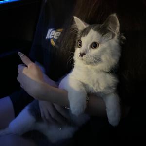 Dj小江-同频率的人像礼物 懂分寸的人更长久（Dj小江 remix）