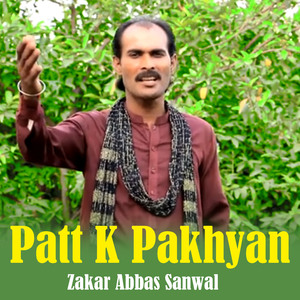 Patt K Pakhyan