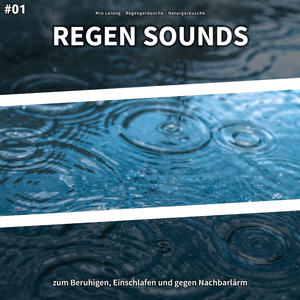 Regengeräusche