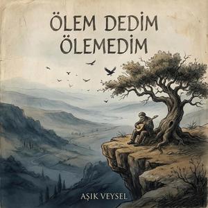 Ölem dedim ölemedim