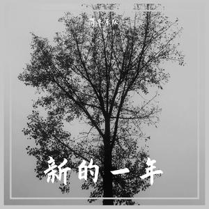 《新的一年》