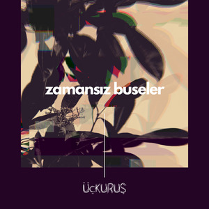 Zamansız Buseler