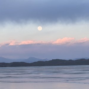 草原深处是故乡