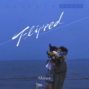 Flipped（怦然心动）