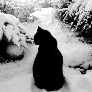 她离开我的时候