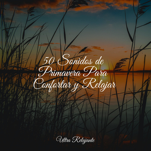 Despertares De Primavera