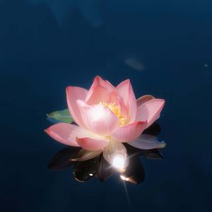 纯音乐（与佛结缘）