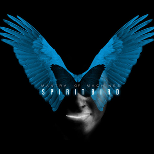 Spiritbird