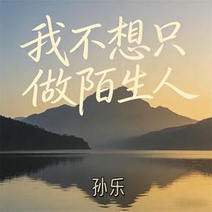我不想只做陌生人