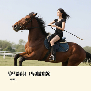 骏马踏春风（马到成功版）