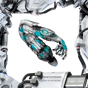 Voice in the Ocean (Original Mix)