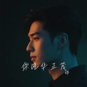 你风华正茂