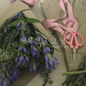 행복했던 그 날 (With 안성민)