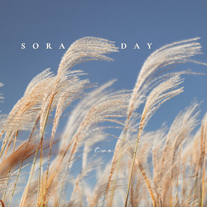 웃음이 번지는 선율