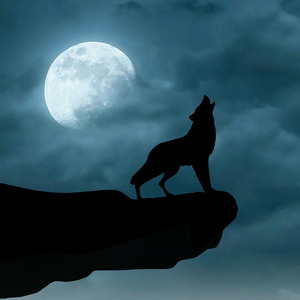 The Moon
