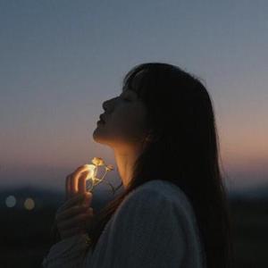 RunWild(向风而野)
