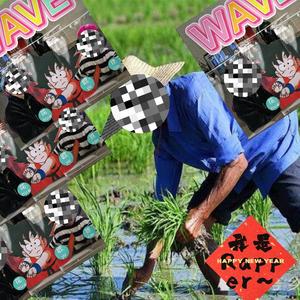 Look别发呆horse眼真哇塞