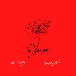 Reason (feat. Berryflex)