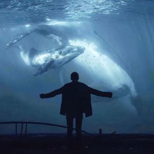 就让大雪覆了冬