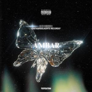ÁMBAR