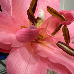 给我一个理由忘记