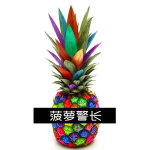 菠萝警长 [Prod.migo]