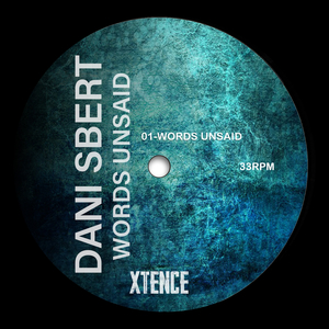 Words Unsaid (Original Mix)