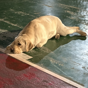 万物都有离去的安排