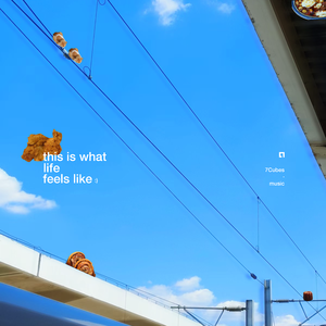 this is what life feels like