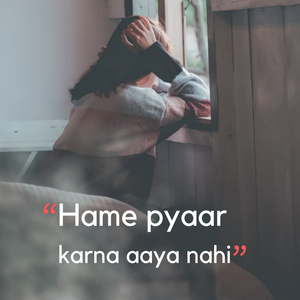 Hame pyaar karna aaya nahi