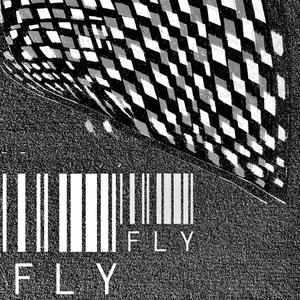 FLY FLY (feat. Kritagya & Vasudev)
