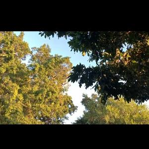 重塑破碎（prod.SanC）