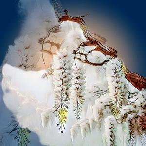 Virágzik az akácfa kisangyalom