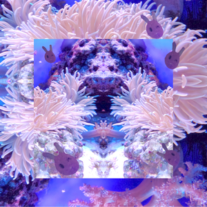 ♥ⒾＮｔｅｒ