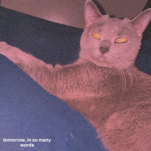 ...tomorrow is a relative term