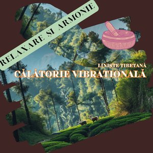 Îmbunătățirea concentrării