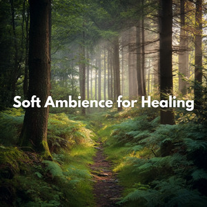 眠りの浅い貴方のための快眠音楽 1分で眠れる1/fの揺らぎヒーリングギター