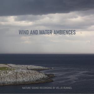 Waves of the Baltic Sea