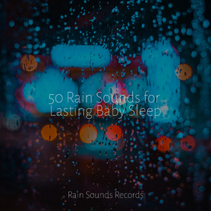 Flight of the Zephyr