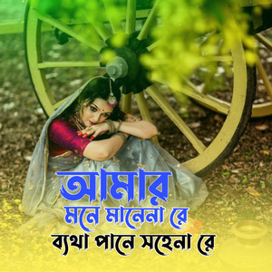 আমার মনে মানেনা রে ব্যথা পানে সহেনা