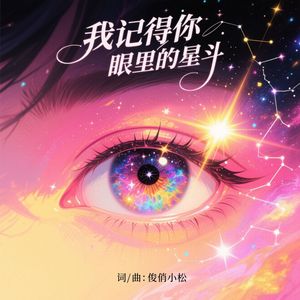 我记得你眼里的星斗