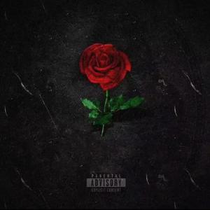 Neonata (feat. ZILLION B)