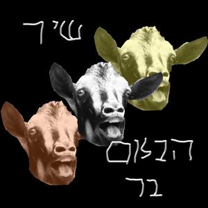 שיר הבלום בר