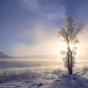 桜・咲くころ / 樱花盛开时 Piano.（翻自 押尾コータロー）