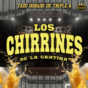 Bohemio De Aficion