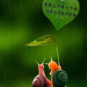 一生爱恋（流行女）