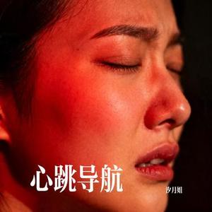 心跳导航