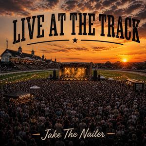 Tregaron (live at the track) (Live)