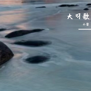 小海鸥